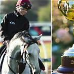 bet on horse melbourne cup
